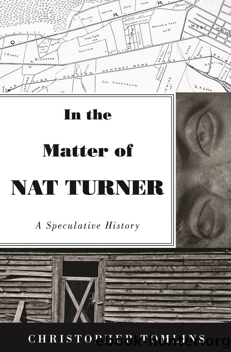 In the Matter of Nat Turner by Tomlins Christopher;