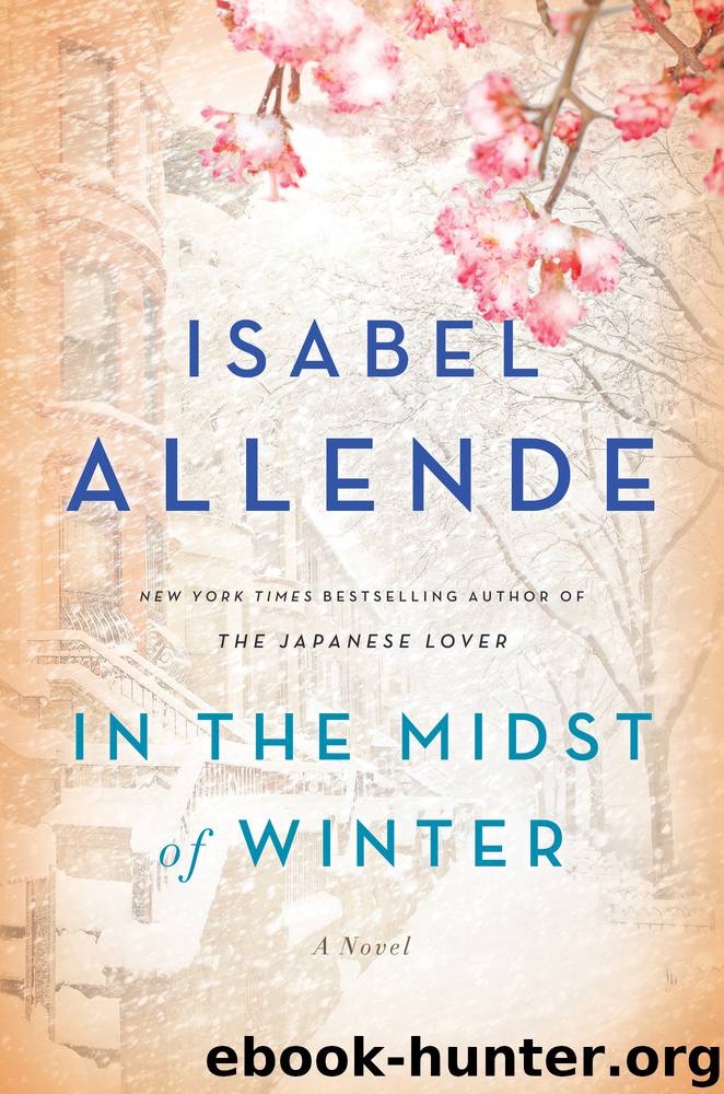 In the Midst of Winter by Isabel Allende