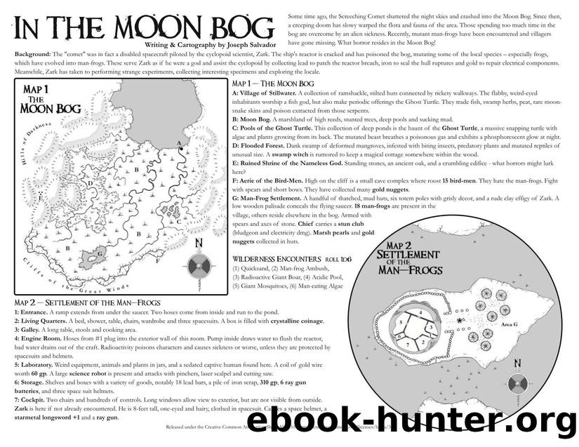 In the Moon Bog by Joseph Salvador