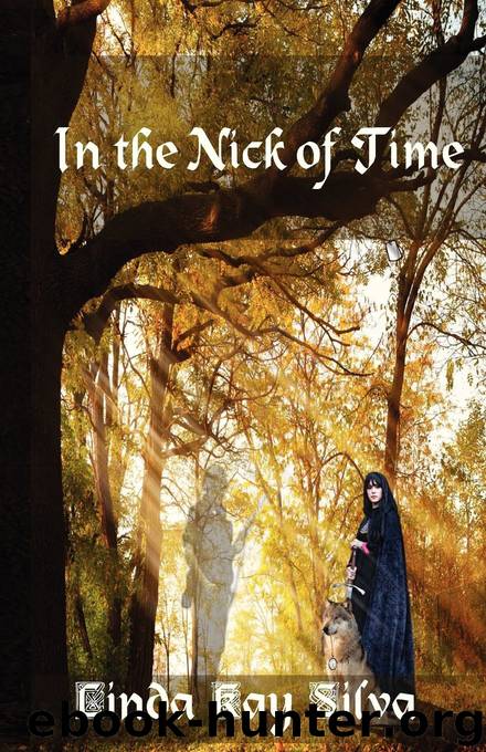 In the Nick of Time (Across Time #5) by Linda Kay Silva