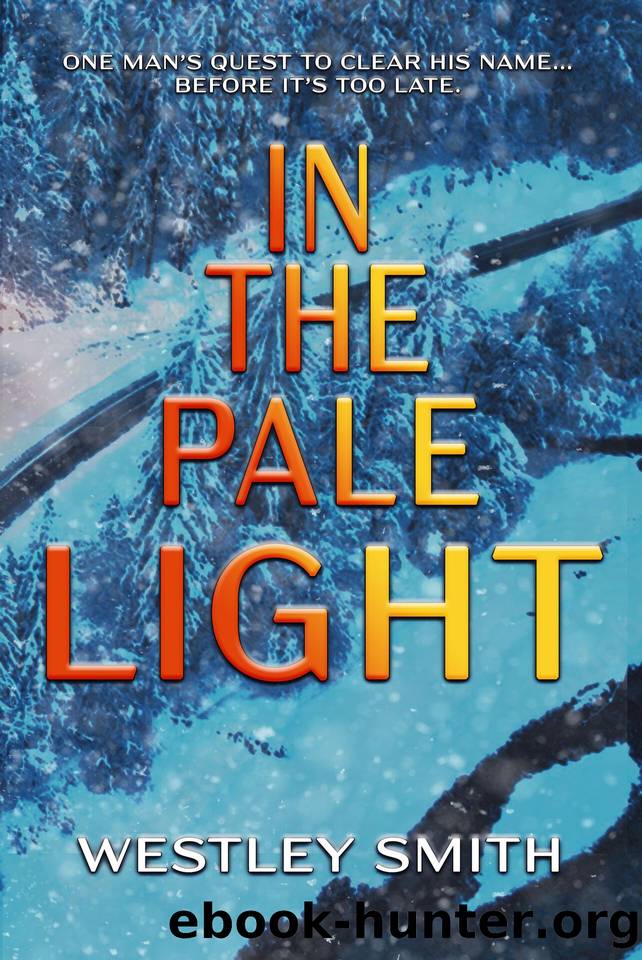 In the Pale Light by Westley Smith