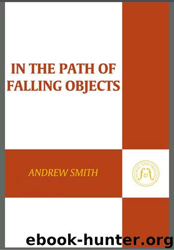 In the Path of Falling Objects by Smith Andrew