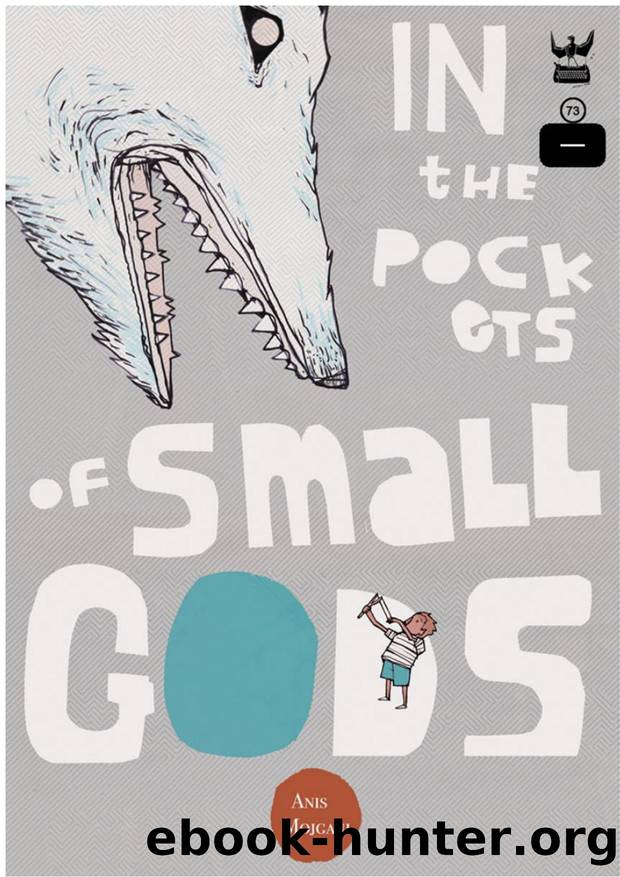 In the Pockets of Small Gods by Anis Mojgani