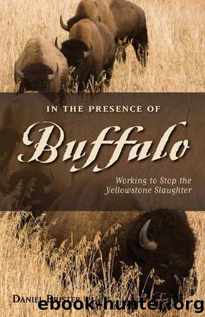 In the Presence of Buffalo by Daniel Brister