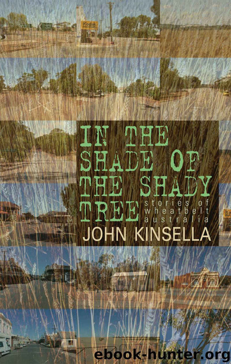 In the Shade of the Shady Tree by John Kinsella