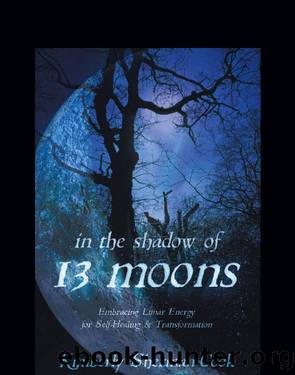 In the Shadow of 13 Moons by Kimberly Sherman-Cook