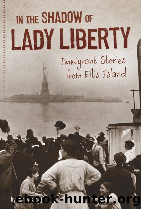 In the Shadow of Lady Liberty by Danny Kravitz