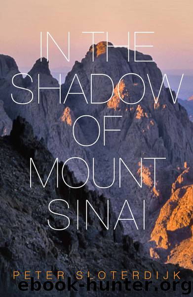 In the Shadow of Mount Sinai by Peter Sloterdijk