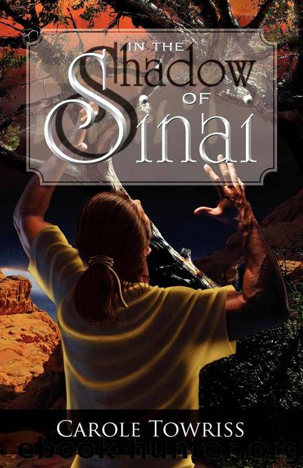 In the Shadow of Sinai (Journey to Canaan) by Towriss Carole