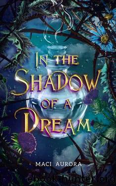 In the Shadow of a Dream: Fareview Fairytales, Book 3 by Maci Aurora