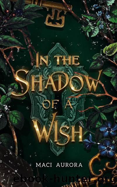 In the Shadow of a Wish by Maci Aurora