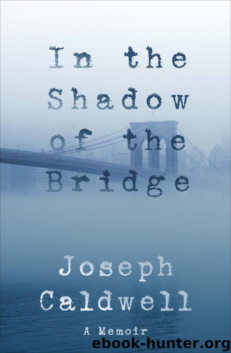 In the Shadow of the Bridge by Joseph Caldwell