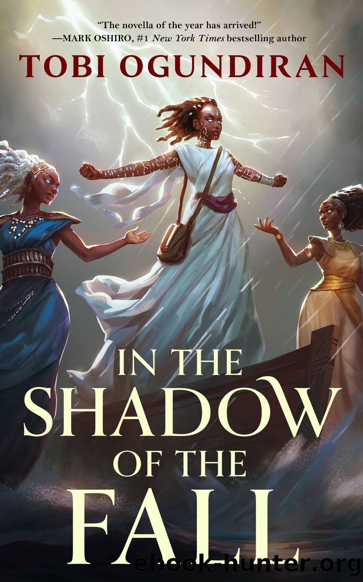 In the Shadow of the Fall by Tobi Ogundiran