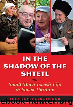 In the Shadow of the Shtetl by Jeffrey Veidlinger