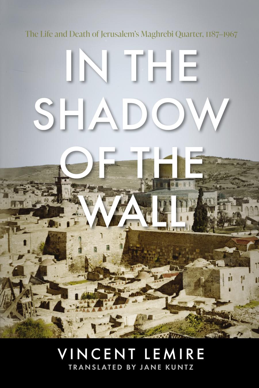 In the Shadow of the Wall by Vincent Lemire
