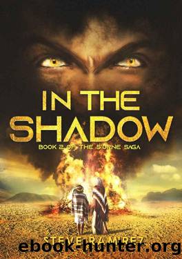 In the Shadow: Book Two of the S'orne Saga by Steve Ramirez