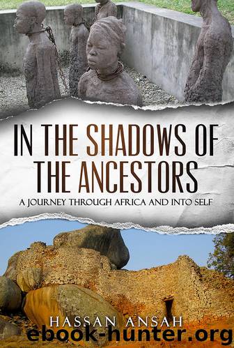 In the Shadows of the Ancestors by Hassan Ansah