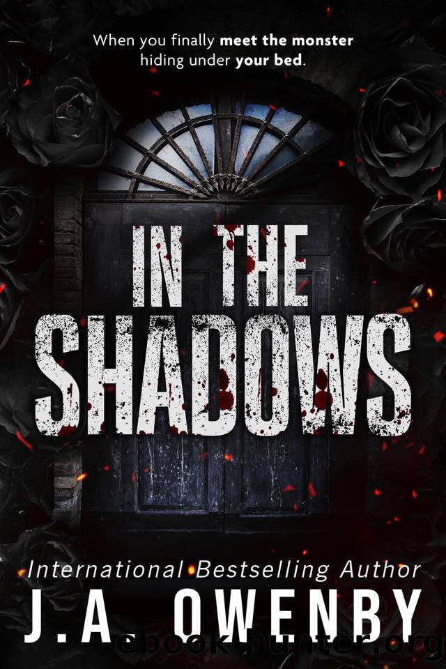 In the Shadows: A Dark Stalker Romance by J.A. Owenby