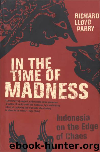In the Time of Madness by Richard Lloyd Parry