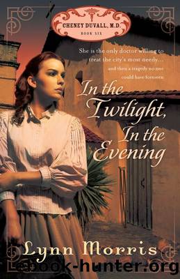 In the Twilight, in the Evening by Lynn Morris