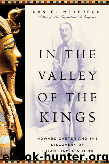 In the Valley of the Kings by Daniel Meyerson
