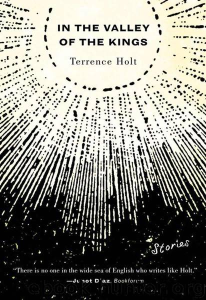 In the Valley of the Kings: Stories by Holt Terrence