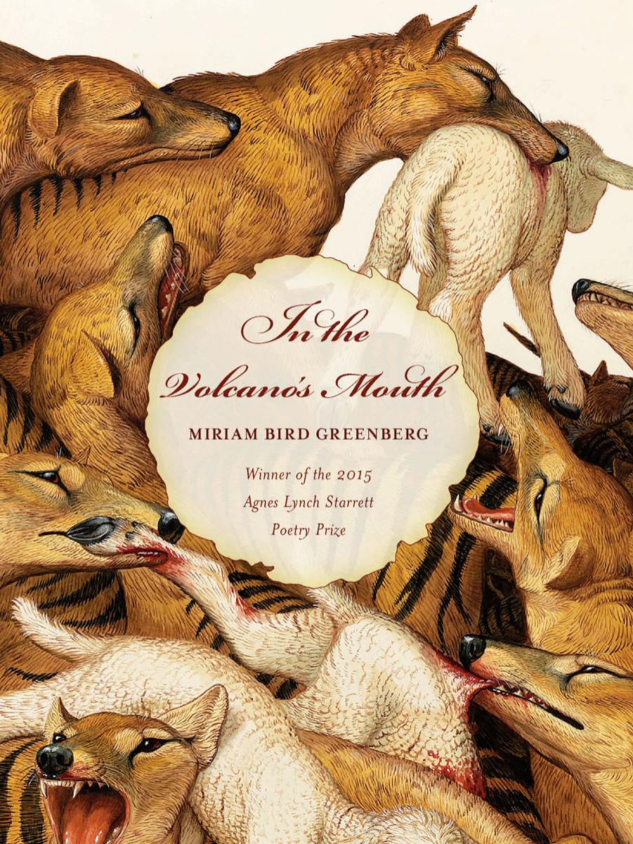 In the Volcano's Mouth by Miriam Bird Greenberg
