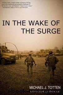 In the Wake of the Surge by Totten Michael J