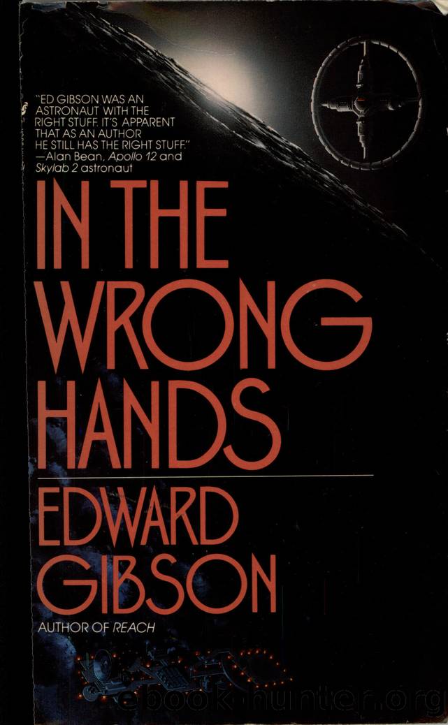 In the Wrong Hands by Edward Gibson