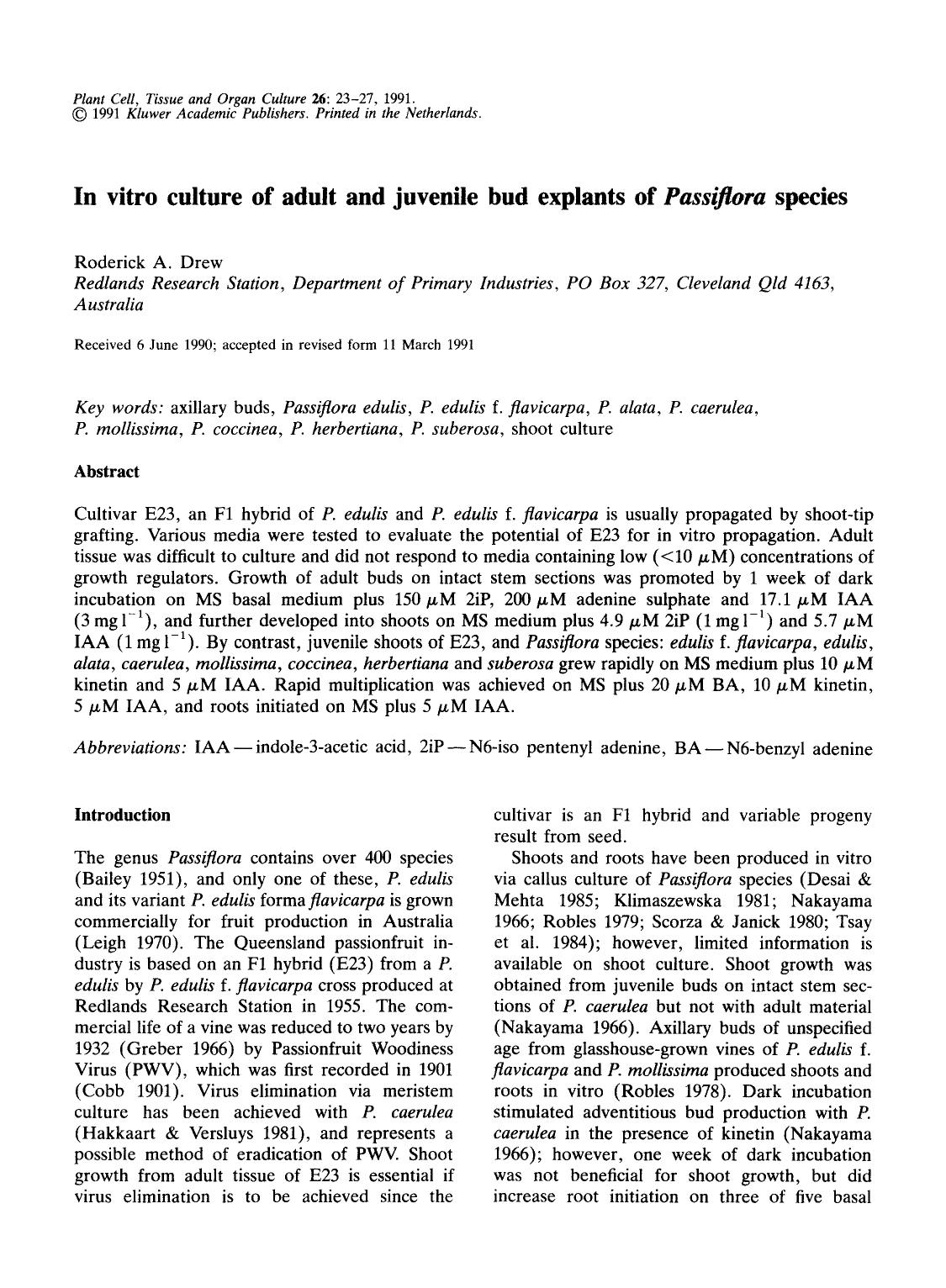 In vitro culture of adult and juvenile bud explants of <Emphasis Type="Italic">Passiflora <Emphasis> species by Unknown