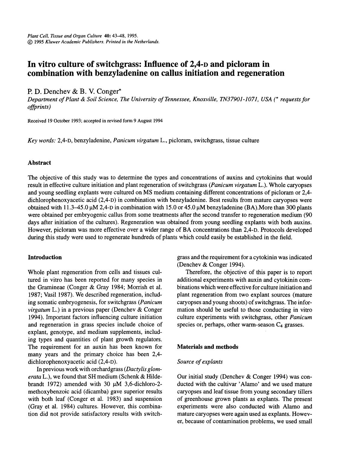 In vitro culture of switchgrass: Influence of 2,4- <Emphasis Type="SmallCaps">d <Emphasis> and picloram in combination with benzyladenine on callus initiation and regeneration by Unknown