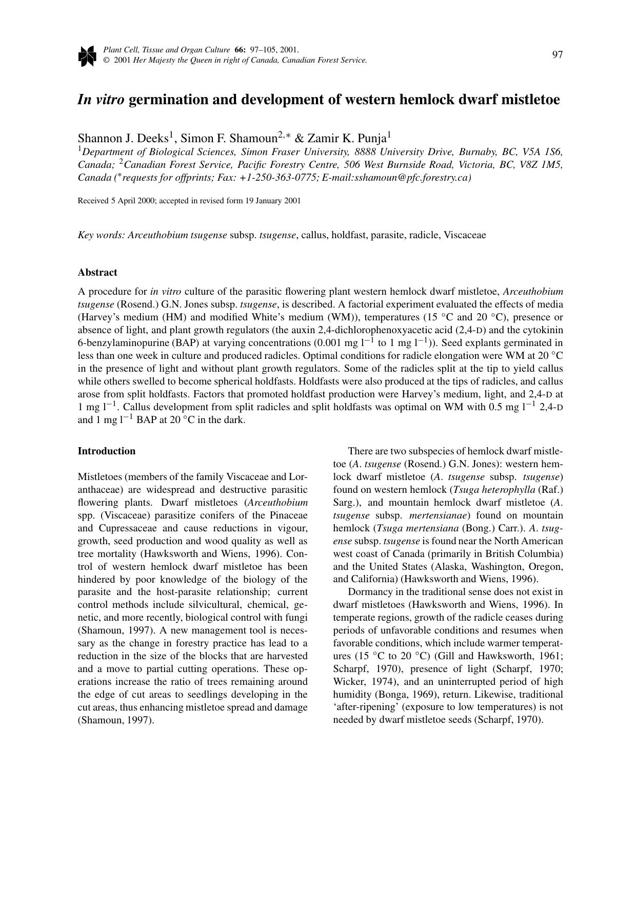 In vitro germination and development of western hemlock dwarf mistletoe by Unknown