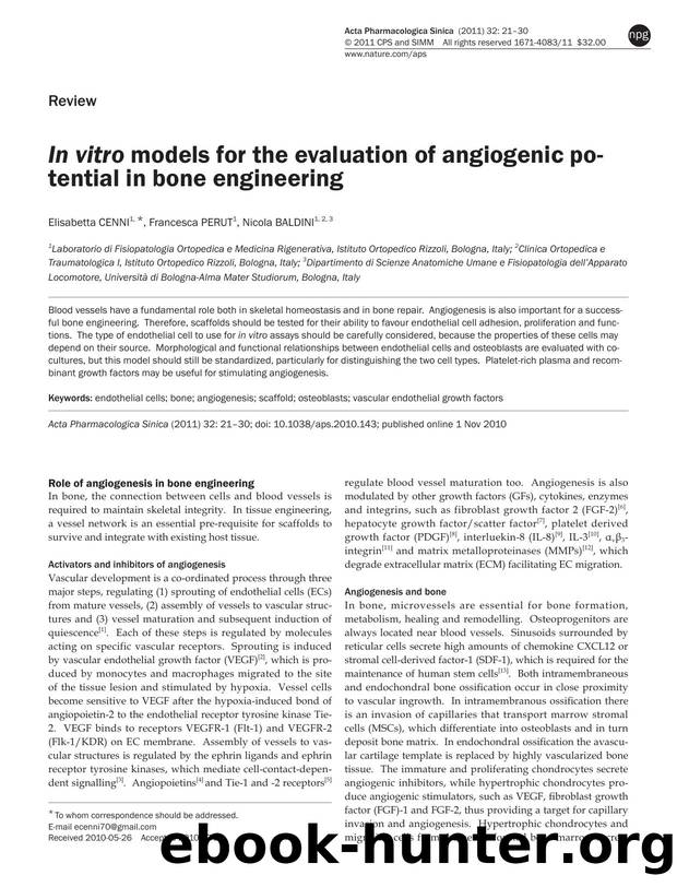 In vitro models for the evaluation of angiogenic potential in bone engineering by Elisabetta Cenni & Francesca Perut & Nicola Baldini