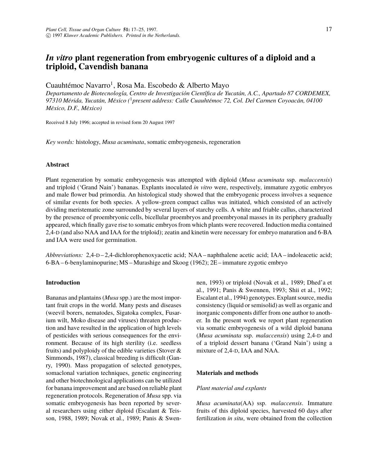 In vitro plant regeneration from embryogenic cultures of a diploid and a triploid, Cavendish banana by Unknown