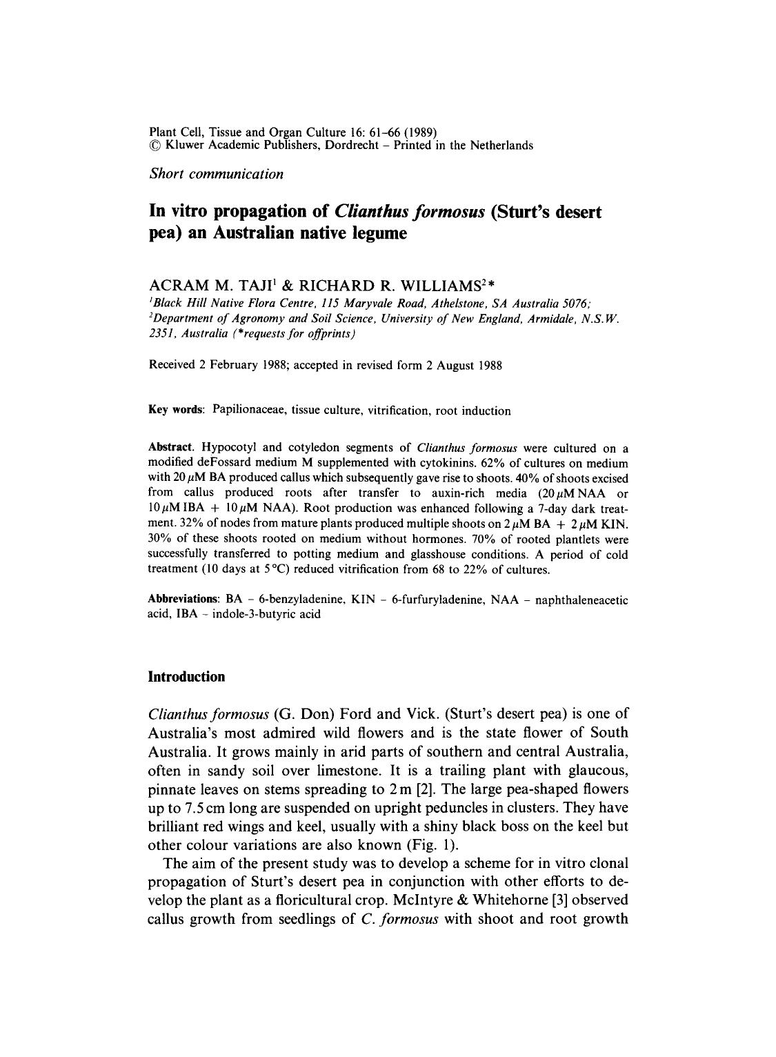 In vitro propagation of <Emphasis Type="Italic">Clianthus formosus <Emphasis> (Sturt's desert pea) an Australian native legume by Unknown