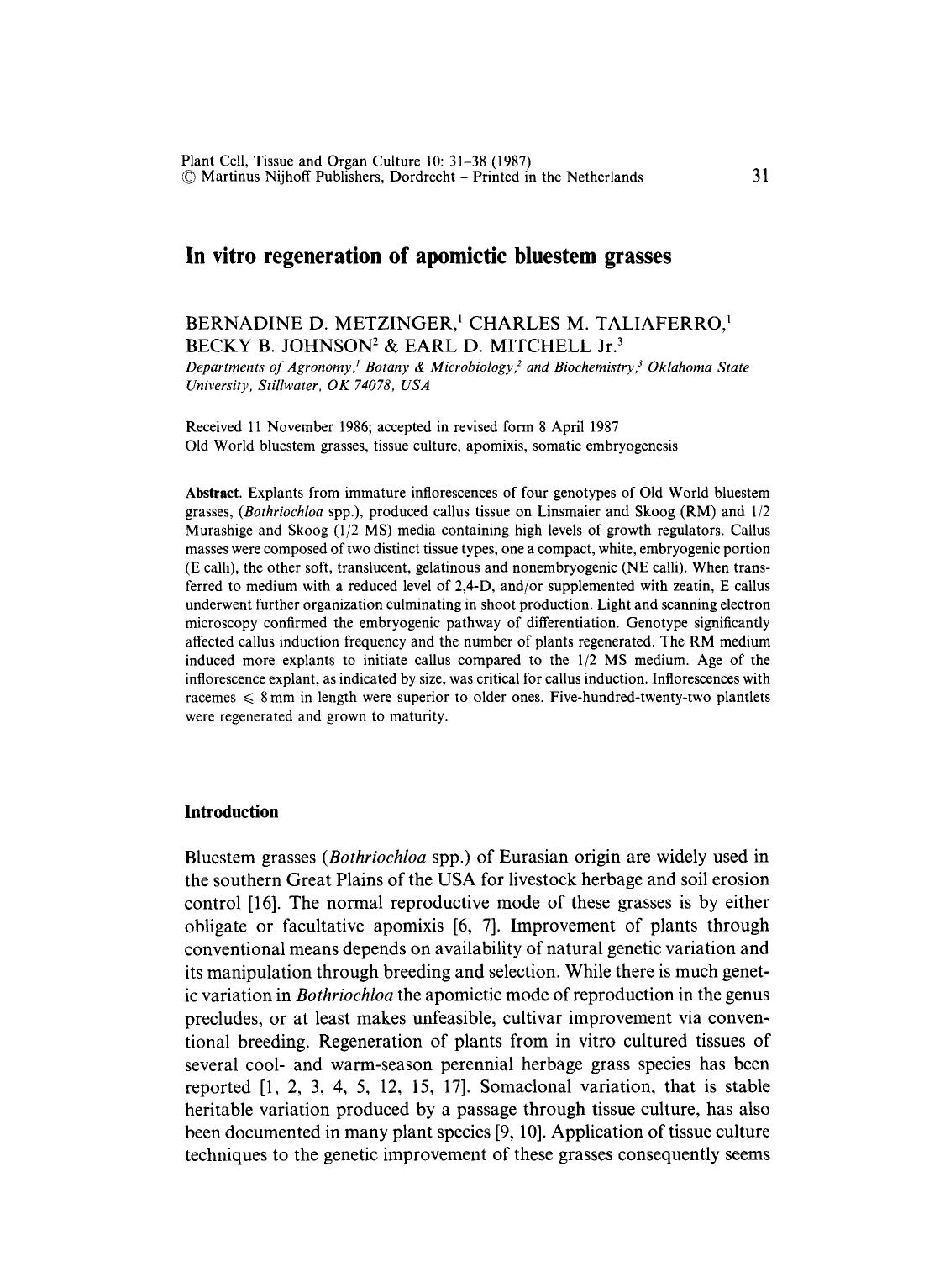 In vitro regeneration of apomictic bluestem grasses by Unknown