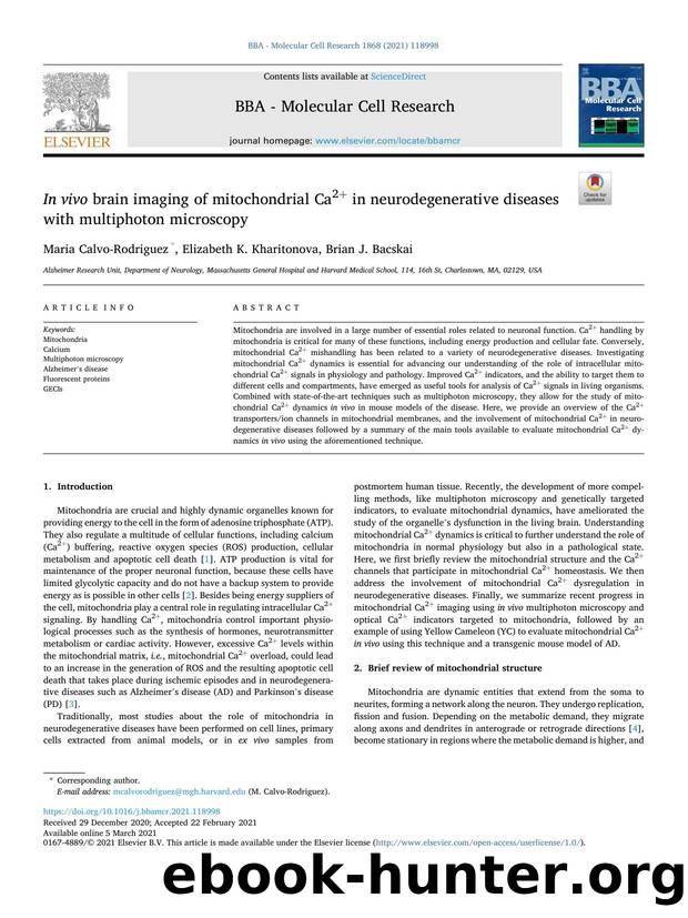 In vivo brain imaging of mitochondrial Ca2+ in neurodegenerative diseases with multiphoton microscopy by Maria Calvo-Rodriguez & Elizabeth K. Kharitonova & Brian J. Bacskai