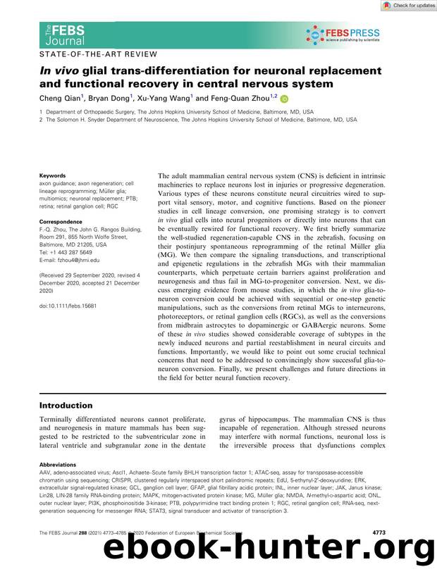 In vivo glial transâdifferentiation for neuronal replacement and functional recovery in central nervous system by Unknown