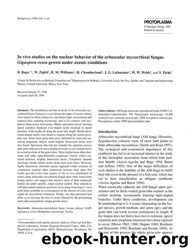 In vivo studies on the nuclear behavior of the arbuscular mycorrhizal fungus <Emphasis Type="Italic">Gigaspora rosea <Emphasis> grown under axenic conditions by Unknown