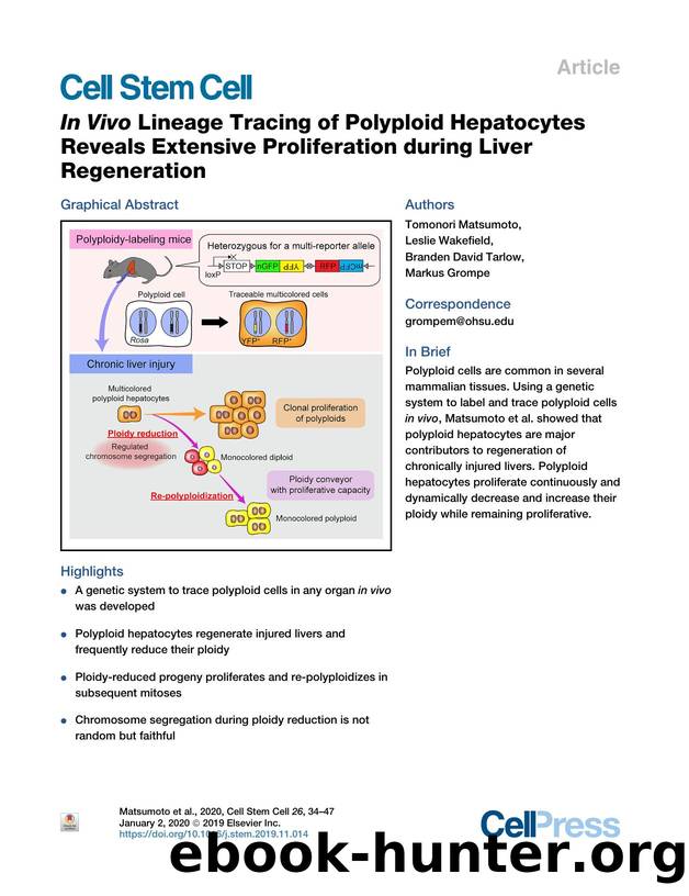 In&#160;Vivo Lineage Tracing of Polyploid Hepatocytes Reveals Extensive Proliferation during Liver Regeneration by Tomonori Matsumoto & Leslie Wakefield & Branden David Tarlow & Markus Grompe