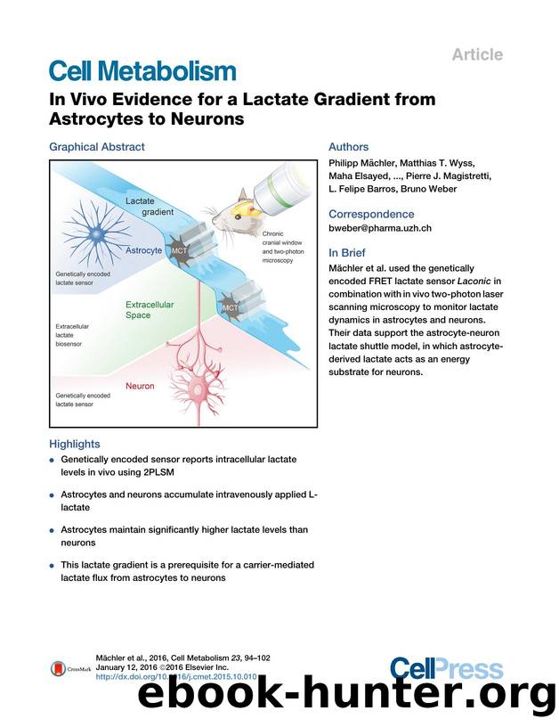 In&nbsp;Vivo Evidence for a Lactate Gradient from Astrocytes to Neurons by unknow