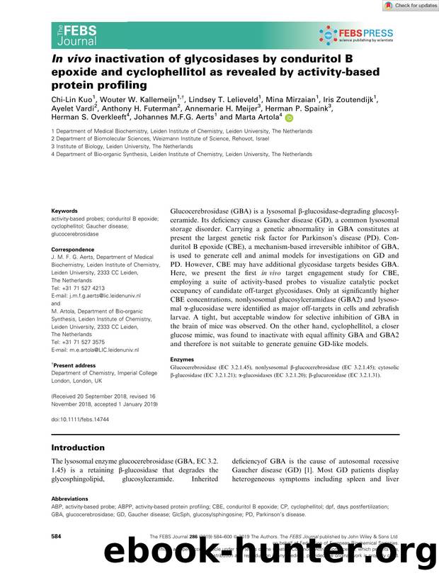InÂ vivo inactivation of glycosidases by conduritol B epoxide and cyclophellitol as revealed by activityâbased protein profiling by Unknown