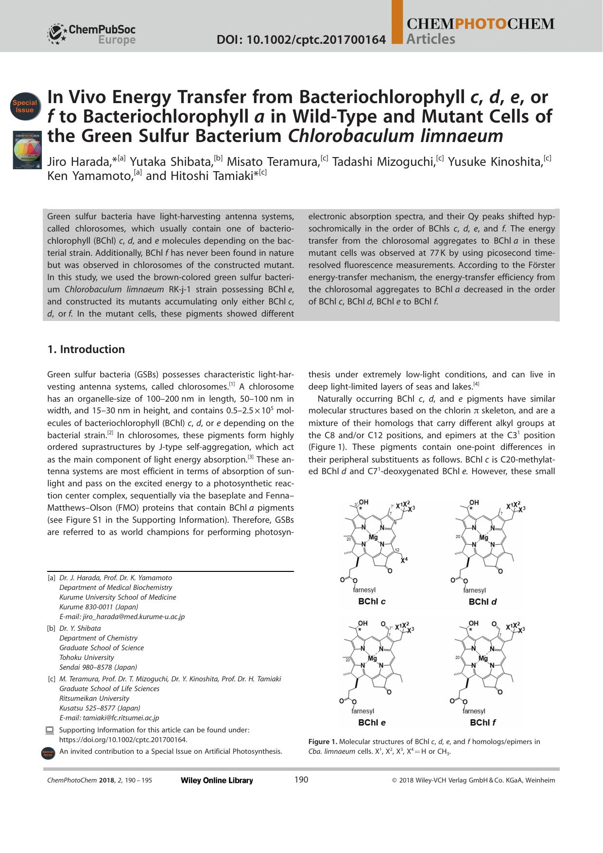InâVivo Energy Transfer from Bacteriochlorophyllâc, d, e, or f to Bacteriochlorophyllâa in WildâType and Mutant Cells of the Green Sulfur Bacterium Chlorobaculum limnaeum by Unknown