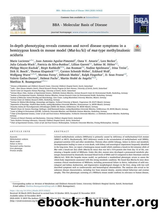 In-depth phenotyping reveals common and novel disease symptoms in a hemizygous knock-in mouse model (Mut-koki) of mut-type methylmalonic aciduria by unknow