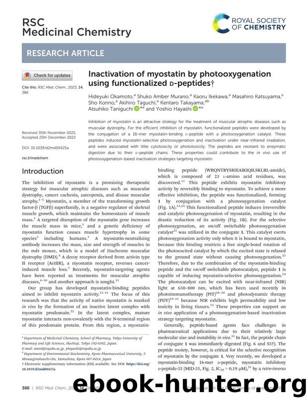 Inactivation of myostatin by photooxygenation using functionalized d-peptides by unknow