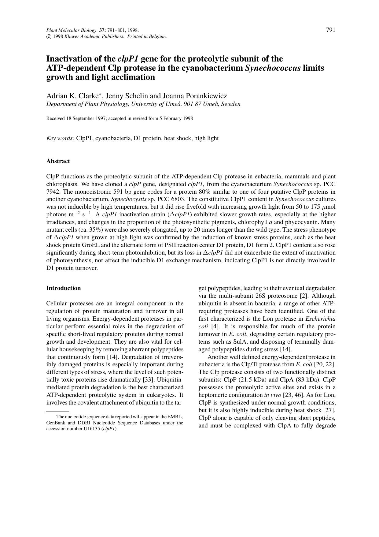 Inactivation of the clpP1 gene for the proteolytic subunit of the ATP-dependent Clp protease in the cyanobacterium Synechococcus limits growth and light acclimation by Unknown