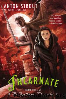 Incarnate by Anton Strout