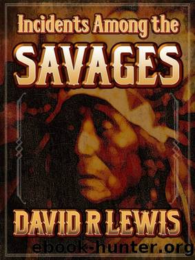 Incidents Among the Savages by David R Lewis