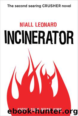 Incinerator by Niall Leonard