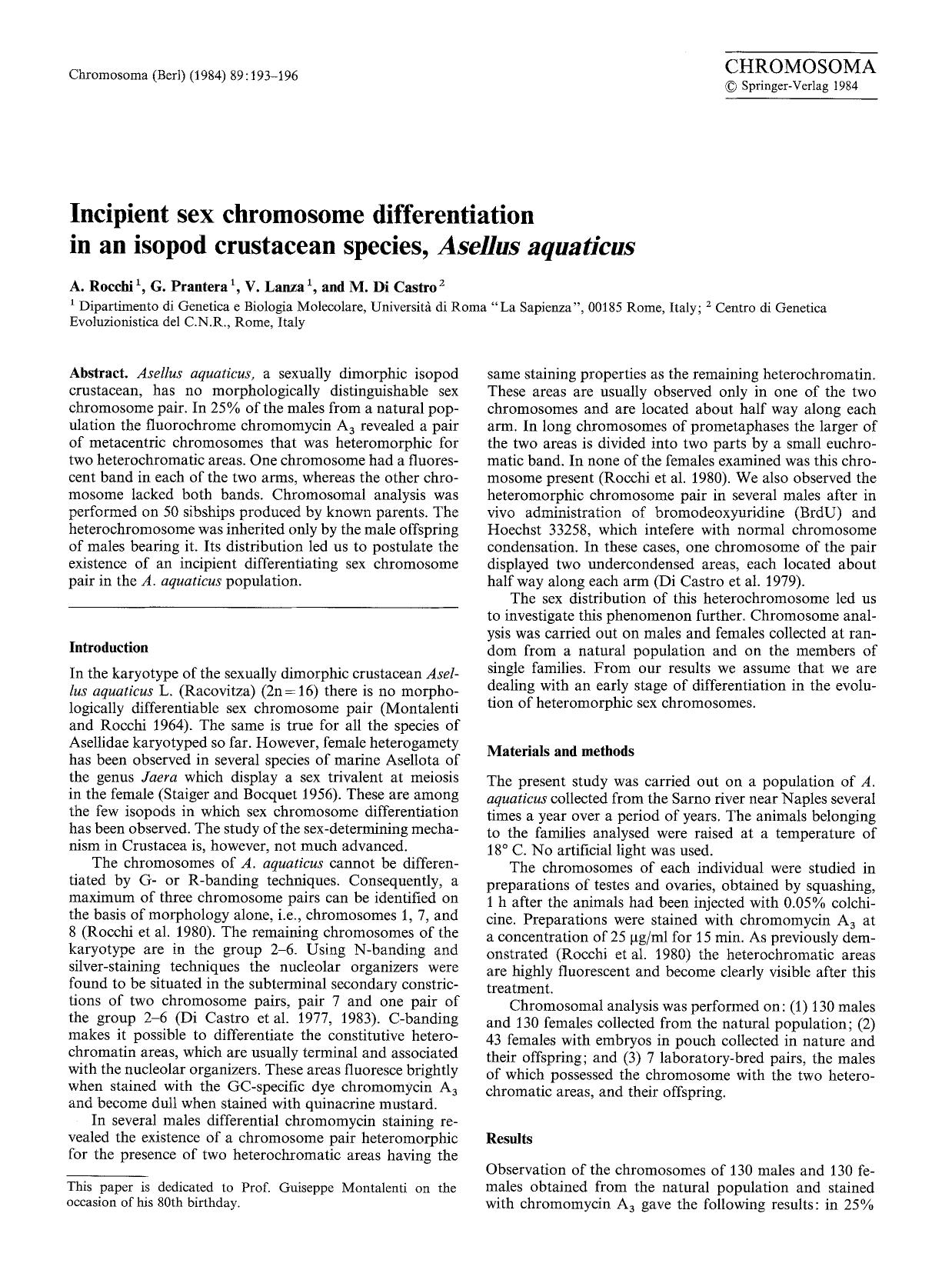 Incipient sex chromosome differentiation in an isopod crustacean species, <Emphasis Type="Italic">Asellus aquaticus<Emphasis> by Unknown